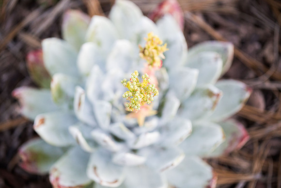 2019 Nature-9