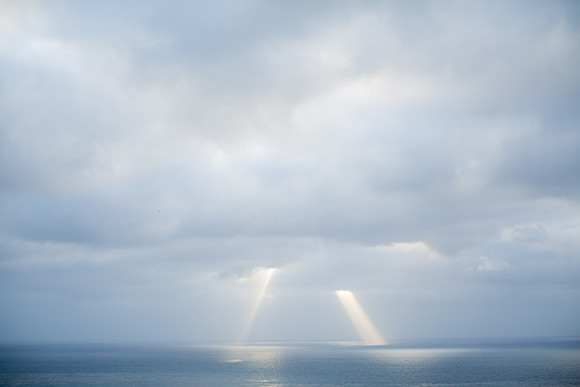 2019 Nature-1