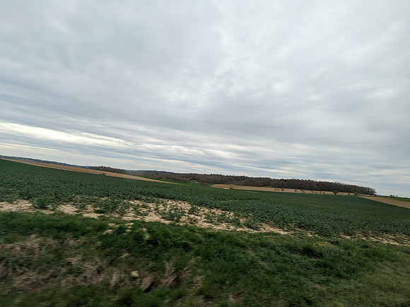 PXL_20240322_151514723