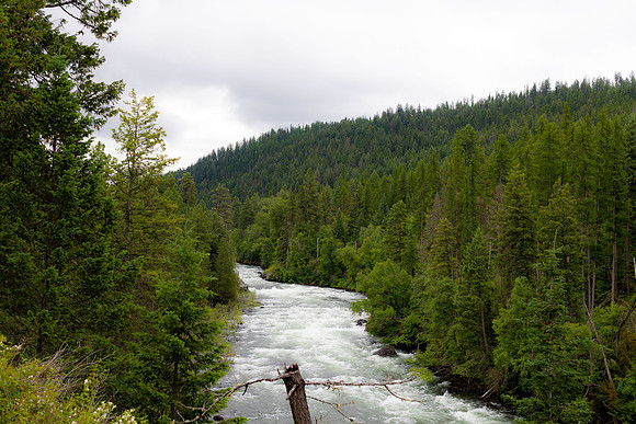 202506 Montana-1
