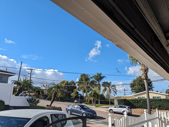 PXL_20240203_175202072